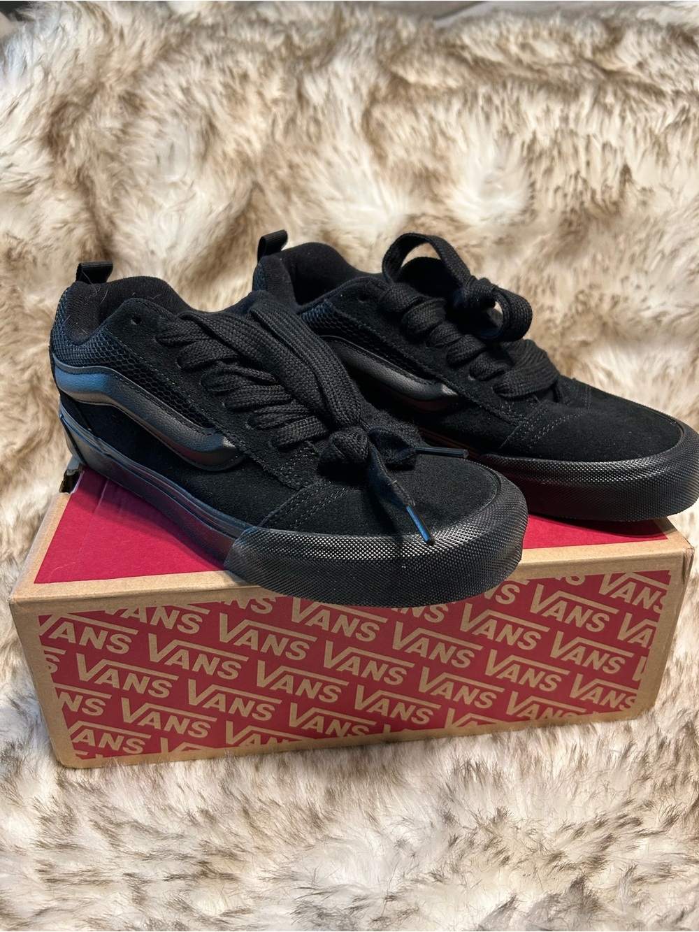 Vans Black Low-Top Sneakers with Side Stripe